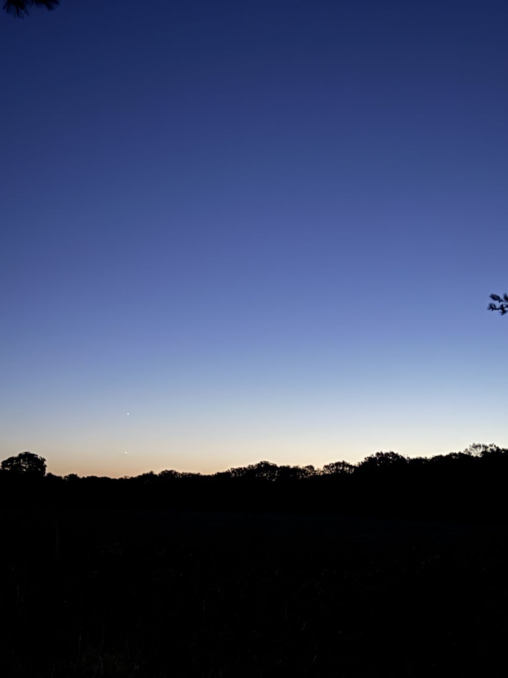 Deep blue pre-dawn sky fading to orange above a dark treeline